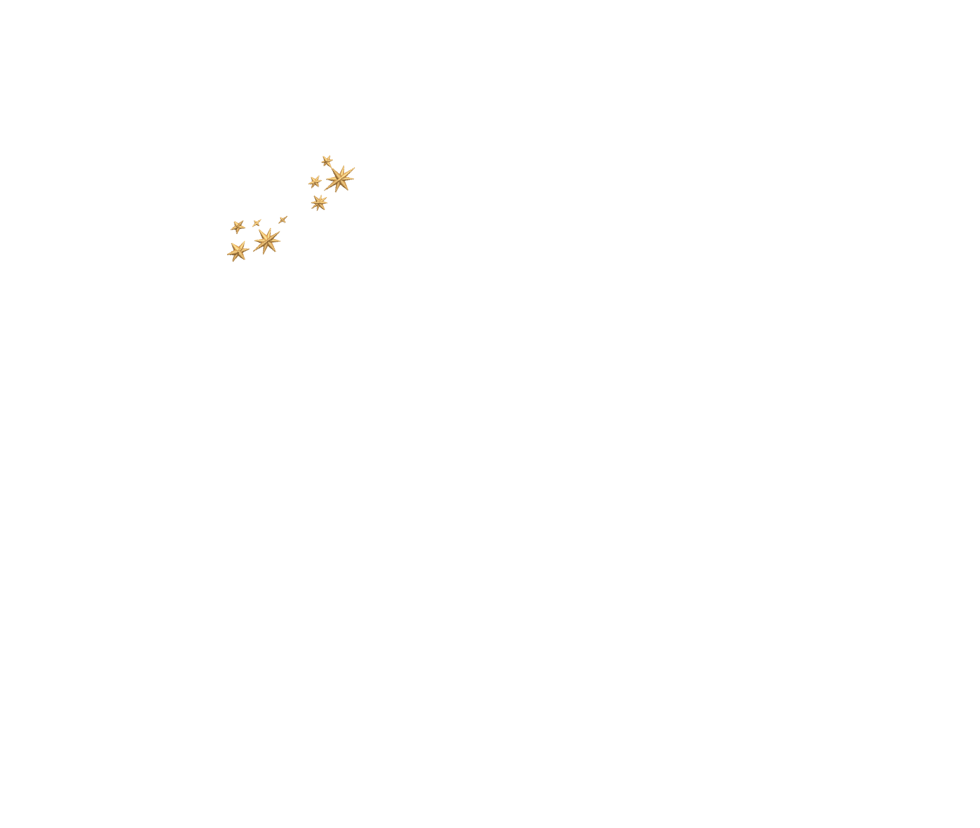 Cordon Maitre REAA Voute étoilée